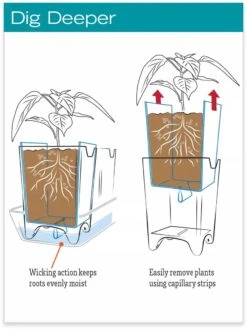 Stoneware Self-Watering Windowsill Planters, Set Of 2 -Garden Care hiw 8593943 jpg
