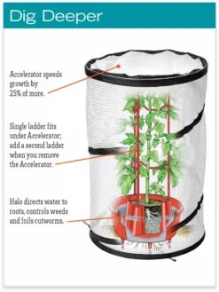 Tomato TLC Kits, Set Of 3 -Garden Care hiw 8594214 jpg